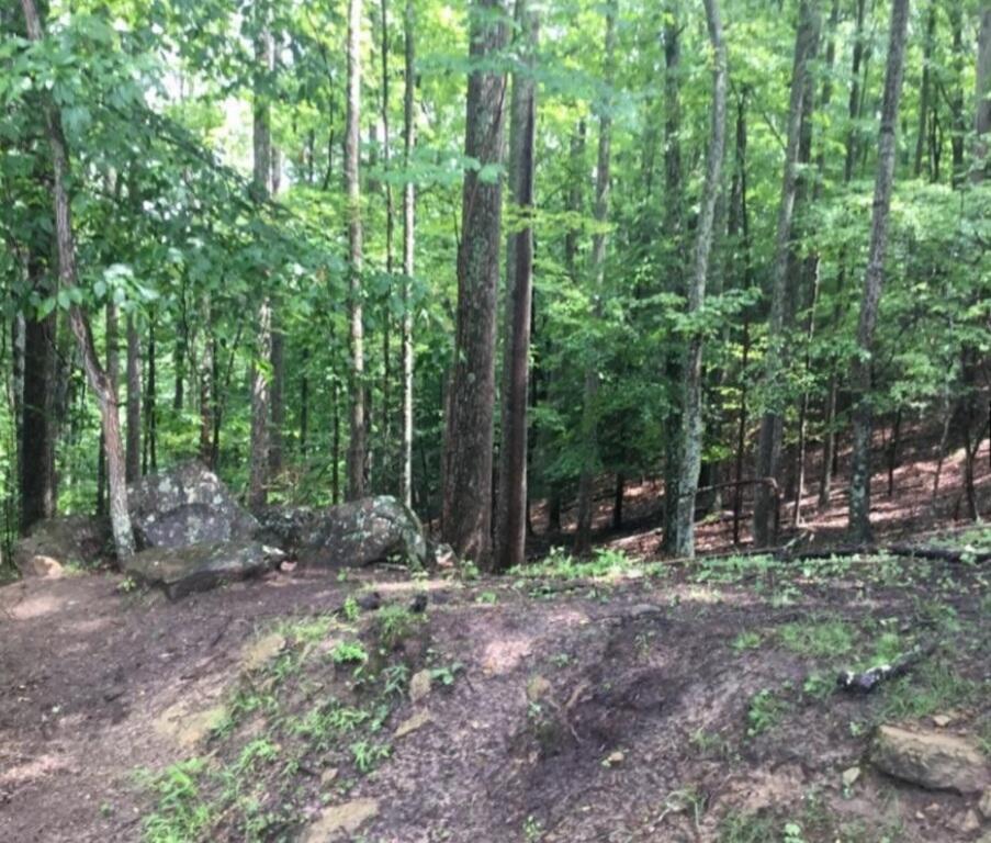 10355 DC Caney Ridge Road Coeburn, VA 24230 - Photo 8 of 27 Screenshot_20210903-070416_Chrome