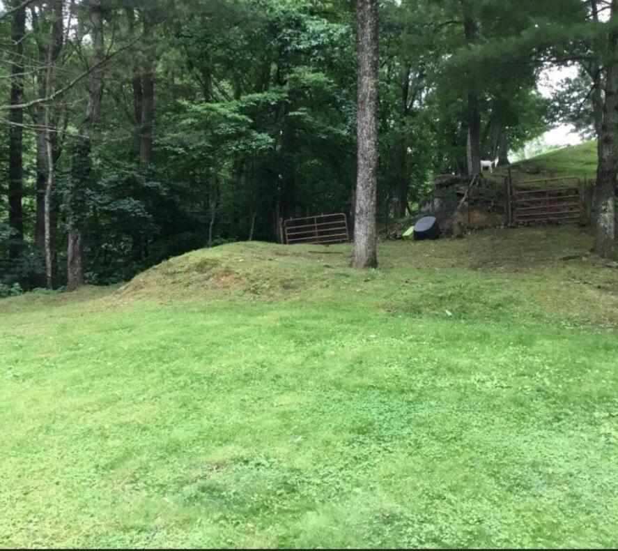 10355 DC Caney Ridge Road Coeburn, VA 24230 - Photo 10 of 27 Screenshot_20210903-070338_Chrome