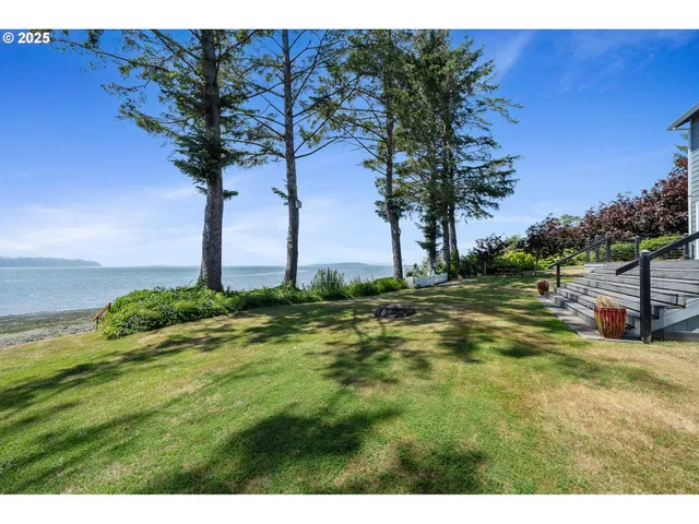 a view of a yard with an tree