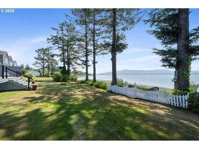 a view of a park with a tree