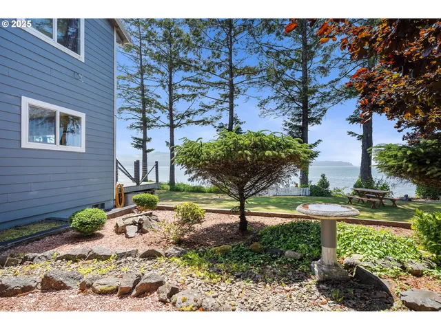 a view of a garden with a tree