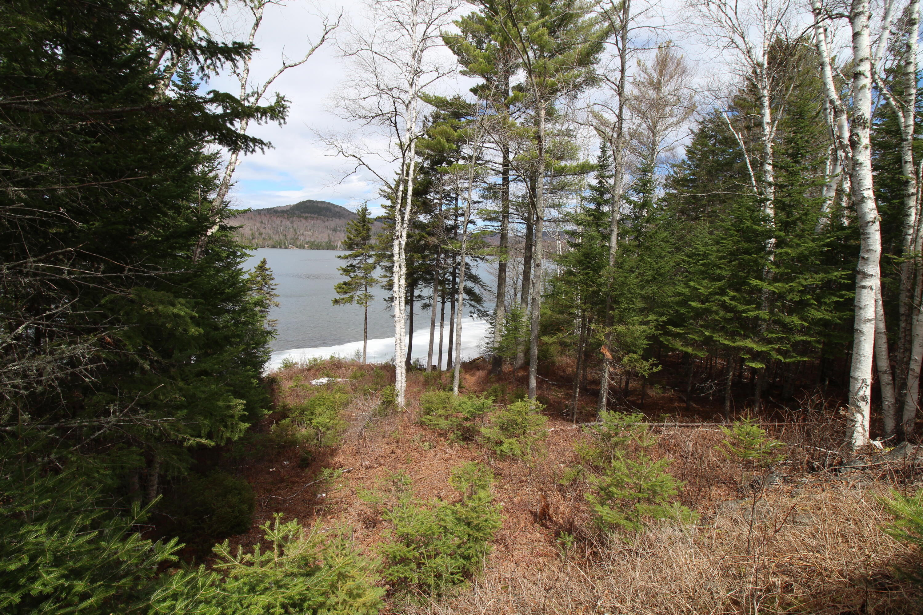 47 Hartland Road Rangeley, ME 04970 - Photo 52 of 55 IMG_2571