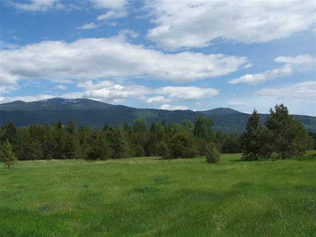 982 Greenhouse Road Ione, WA 99139 - Photo 8 of 8
