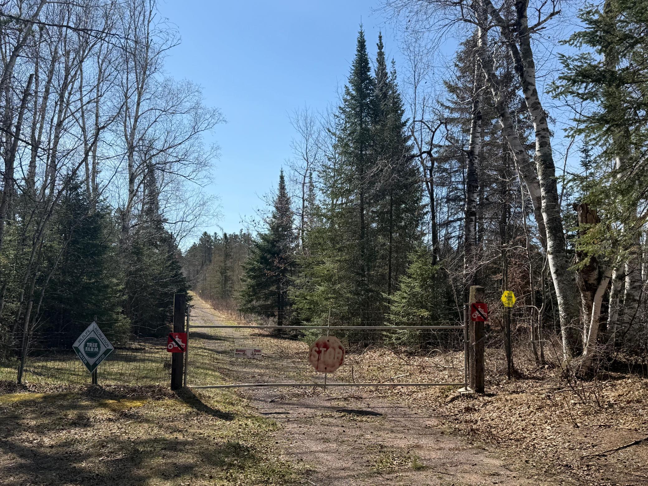 93001 Delong Road Wrenshall, MN 55749 - Photo 13 of 61