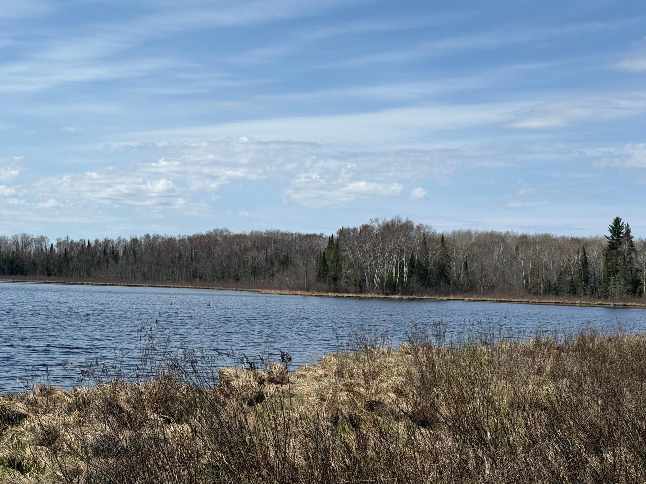 93001 Delong Road Wrenshall, MN 55749 - Photo 20 of 61