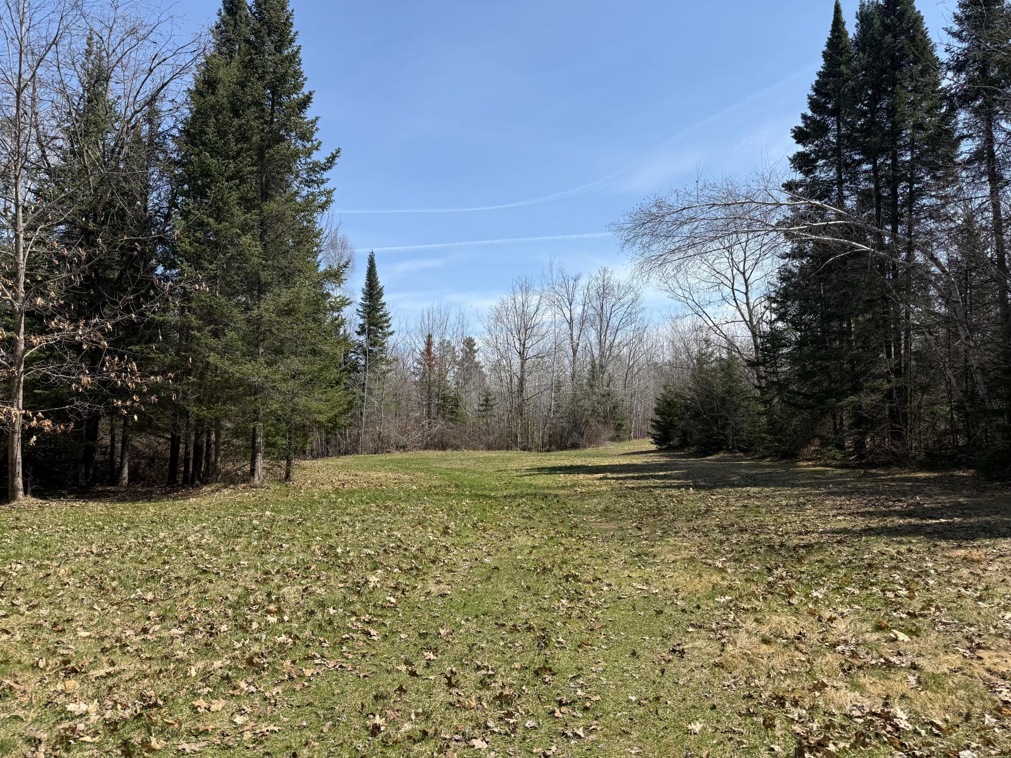 93001 Delong Road Wrenshall, MN 55749 - Photo 23 of 61