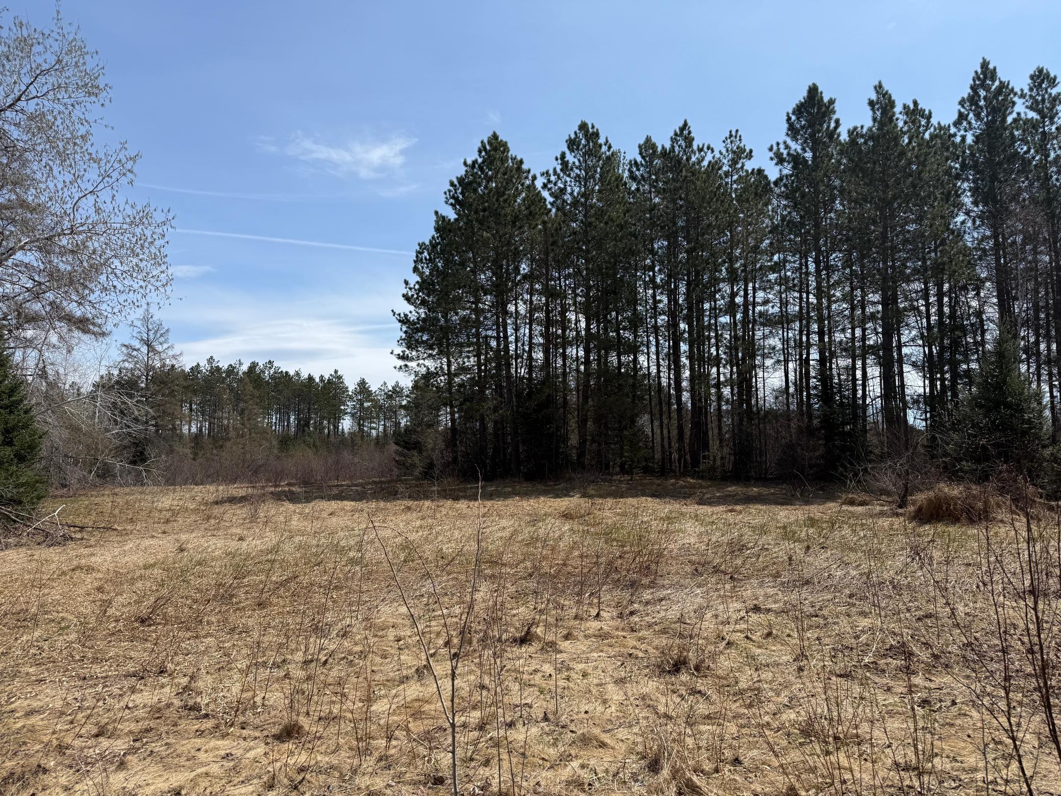 93001 Delong Road Wrenshall, MN 55749 - Photo 28 of 61