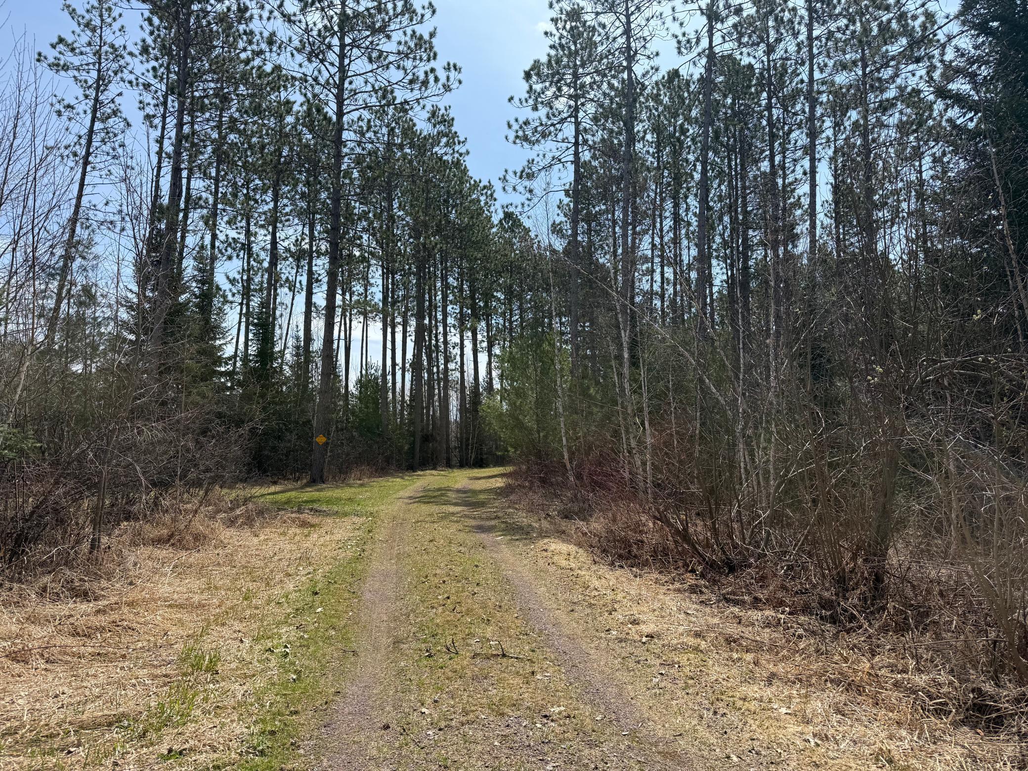 93001 Delong Road Wrenshall, MN 55749 - Photo 29 of 61