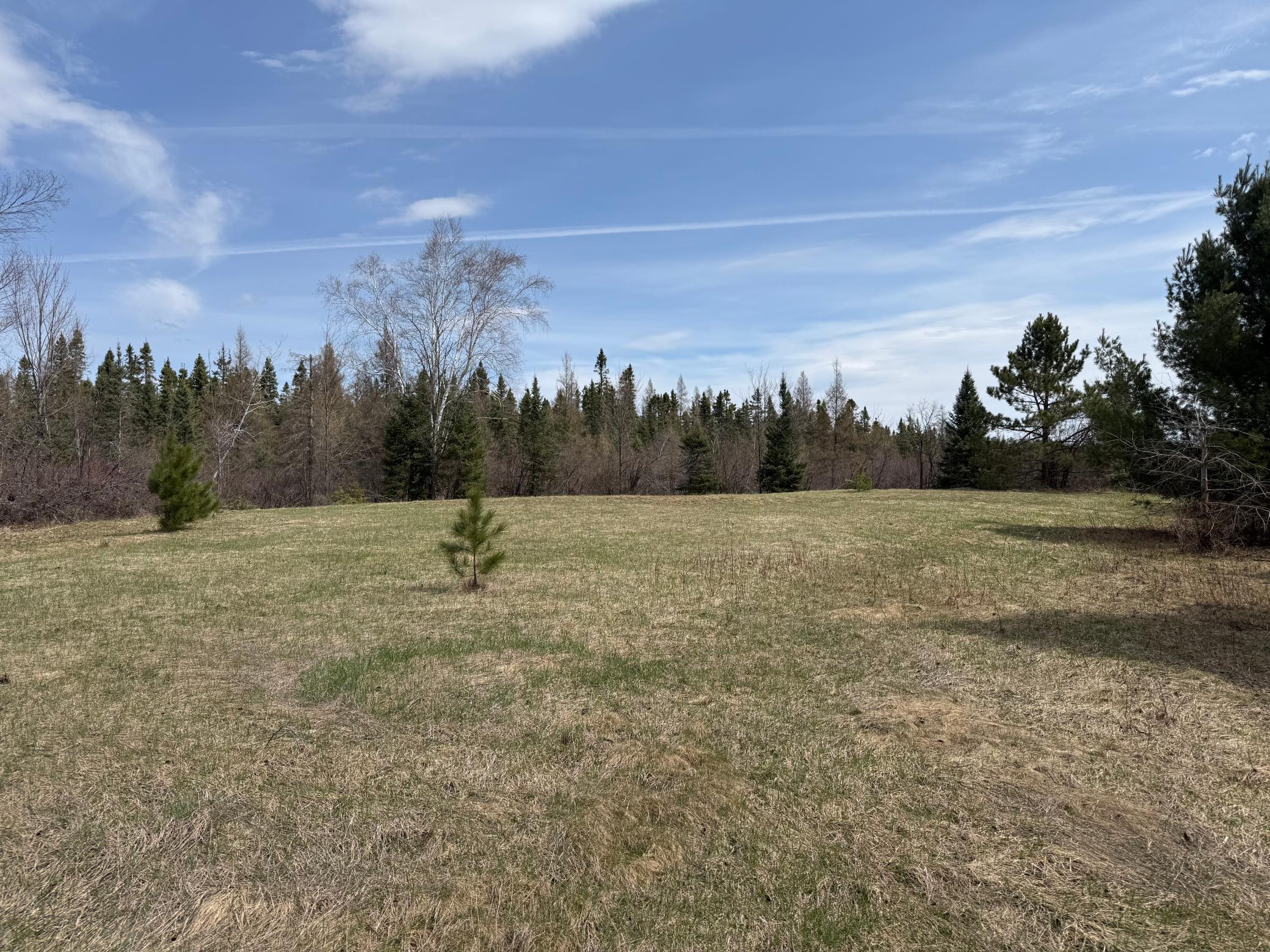 93001 Delong Road Wrenshall, MN 55749 - Photo 35 of 61