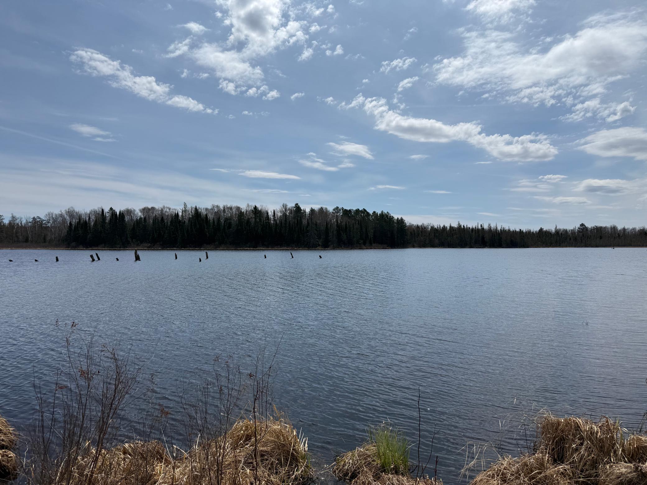 93001 Delong Road Wrenshall, MN 55749 - Photo 37 of 61