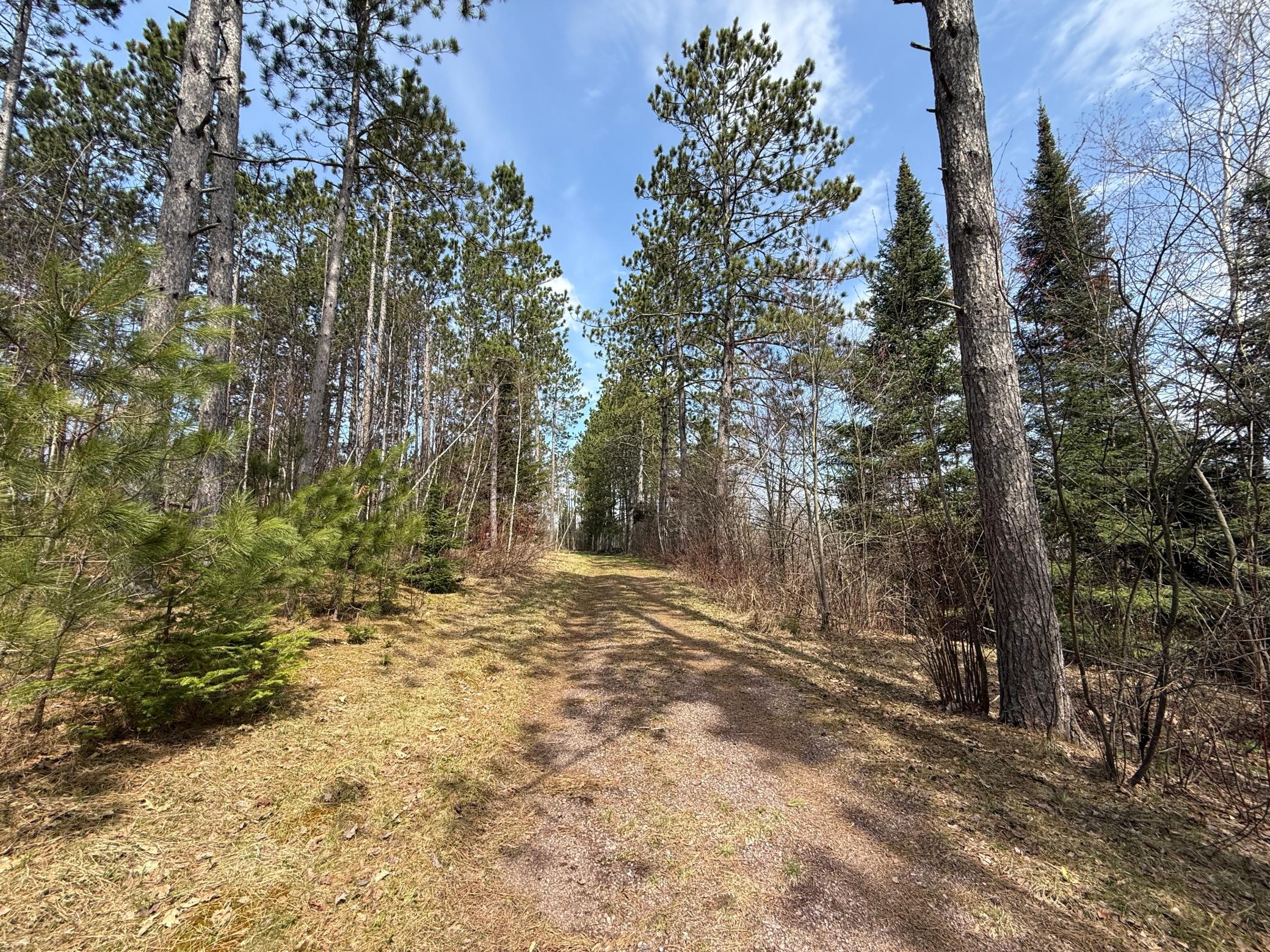 93001 Delong Road Wrenshall, MN 55749 - Photo 39 of 61