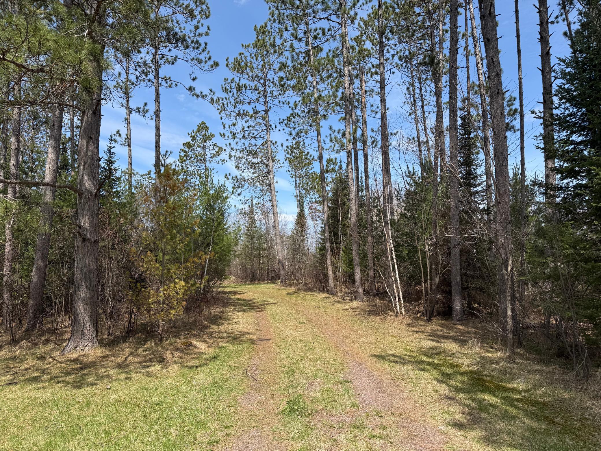 93001 Delong Road Wrenshall, MN 55749 - Photo 42 of 61