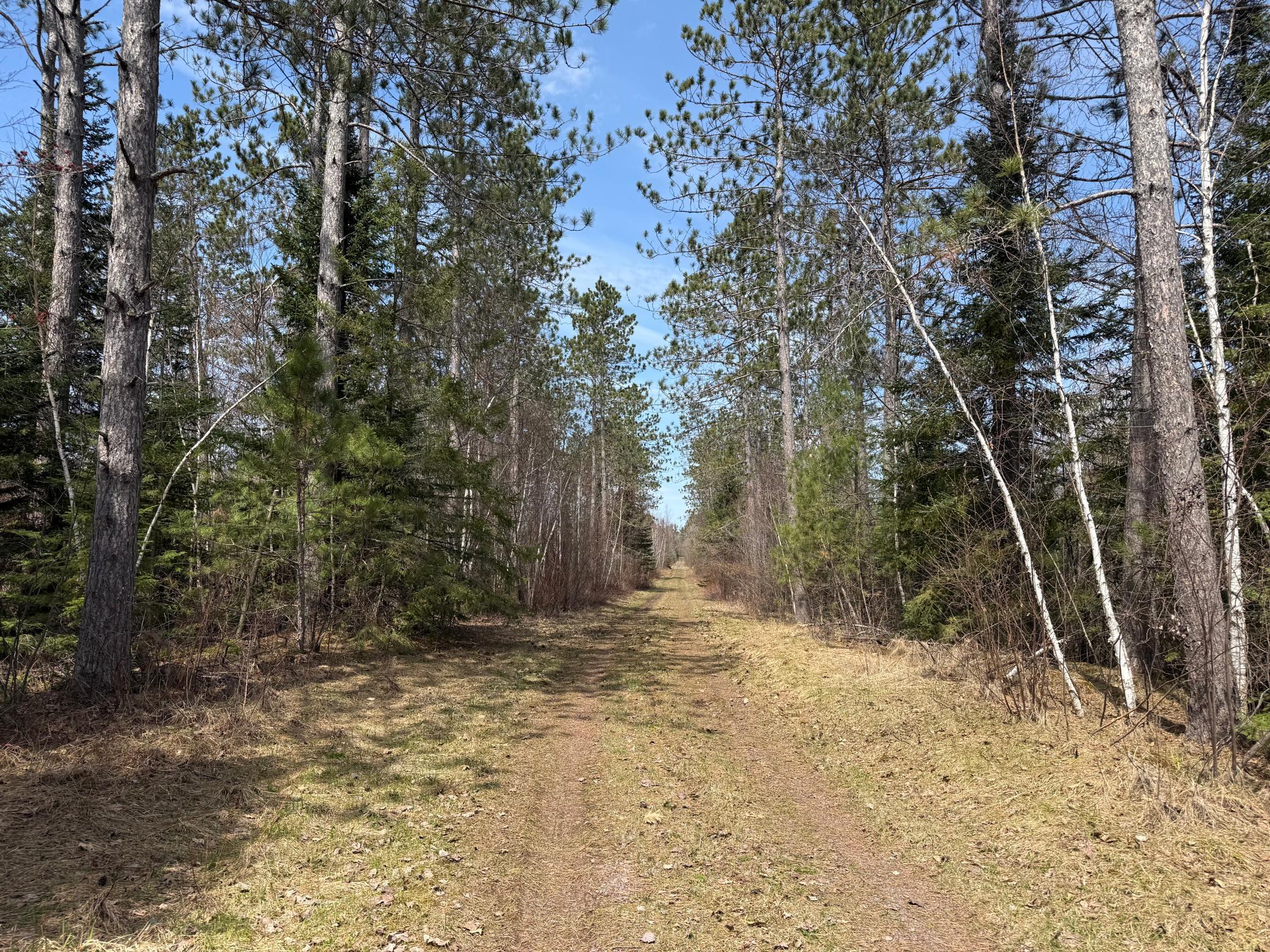 93001 Delong Road Wrenshall, MN 55749 - Photo 44 of 61