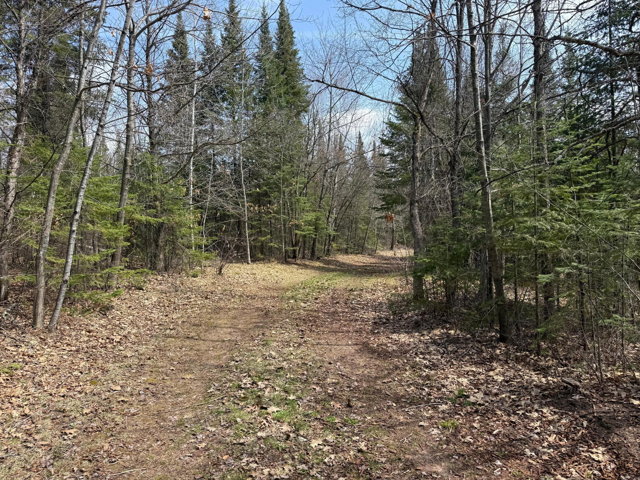 93001 Delong Road Wrenshall, MN 55749 - Photo 49 of 61