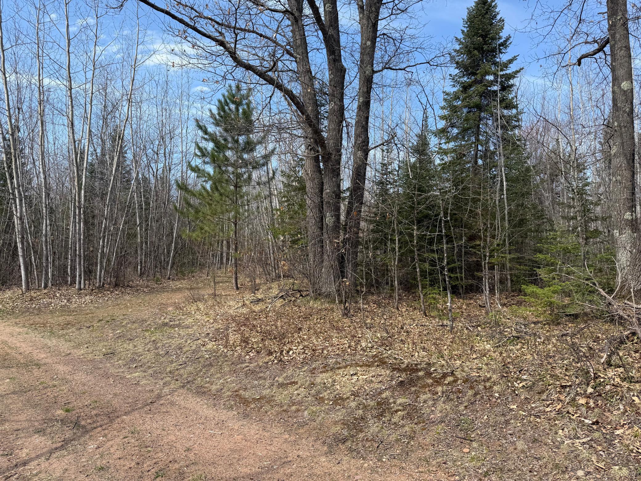 93001 Delong Road Wrenshall, MN 55749 - Photo 50 of 61