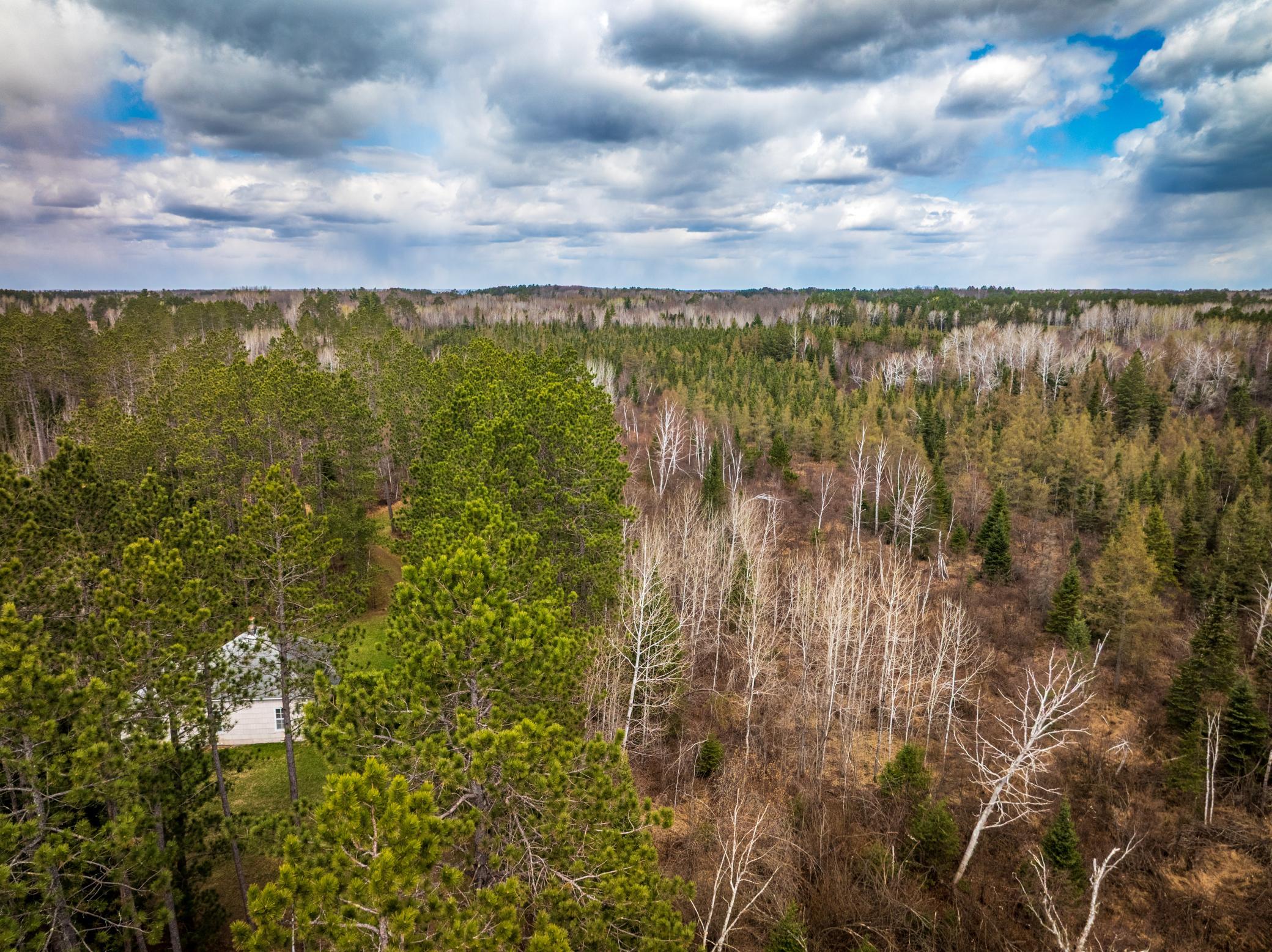 93001 Delong Road Wrenshall, MN 55749 - Photo 5 of 61