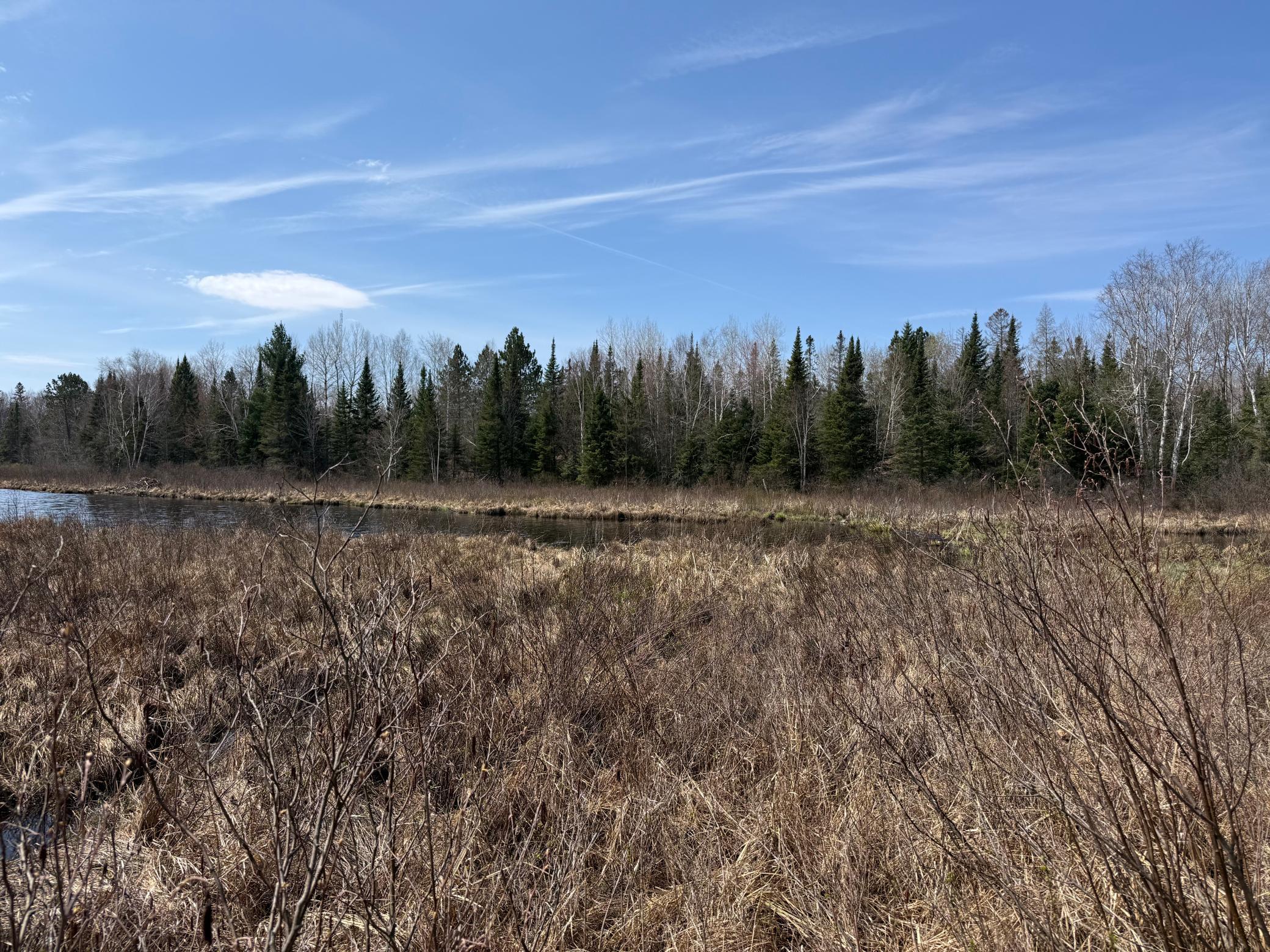 93001 Delong Road Wrenshall, MN 55749 - Photo 53 of 61