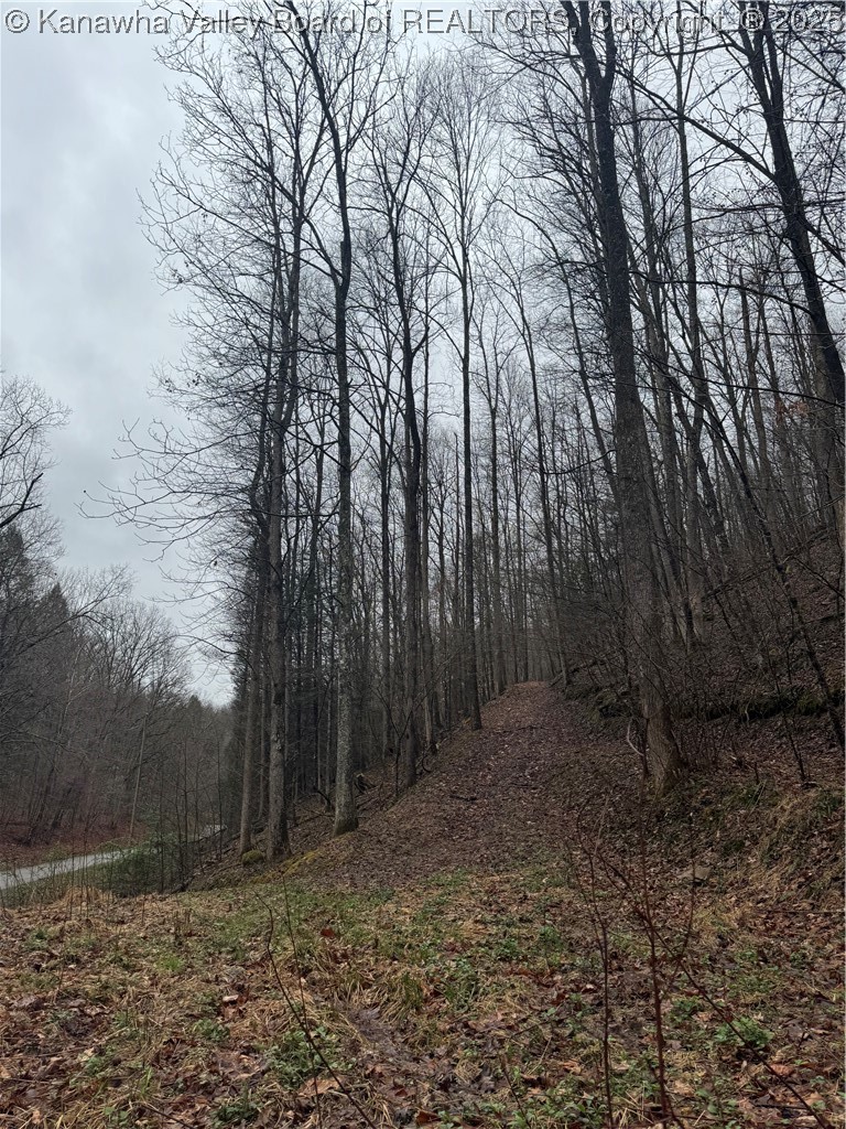 0 Groves-Wattsville Road Ivydale, WV 25113 - Photo 21 of 29 Gallery Image 21