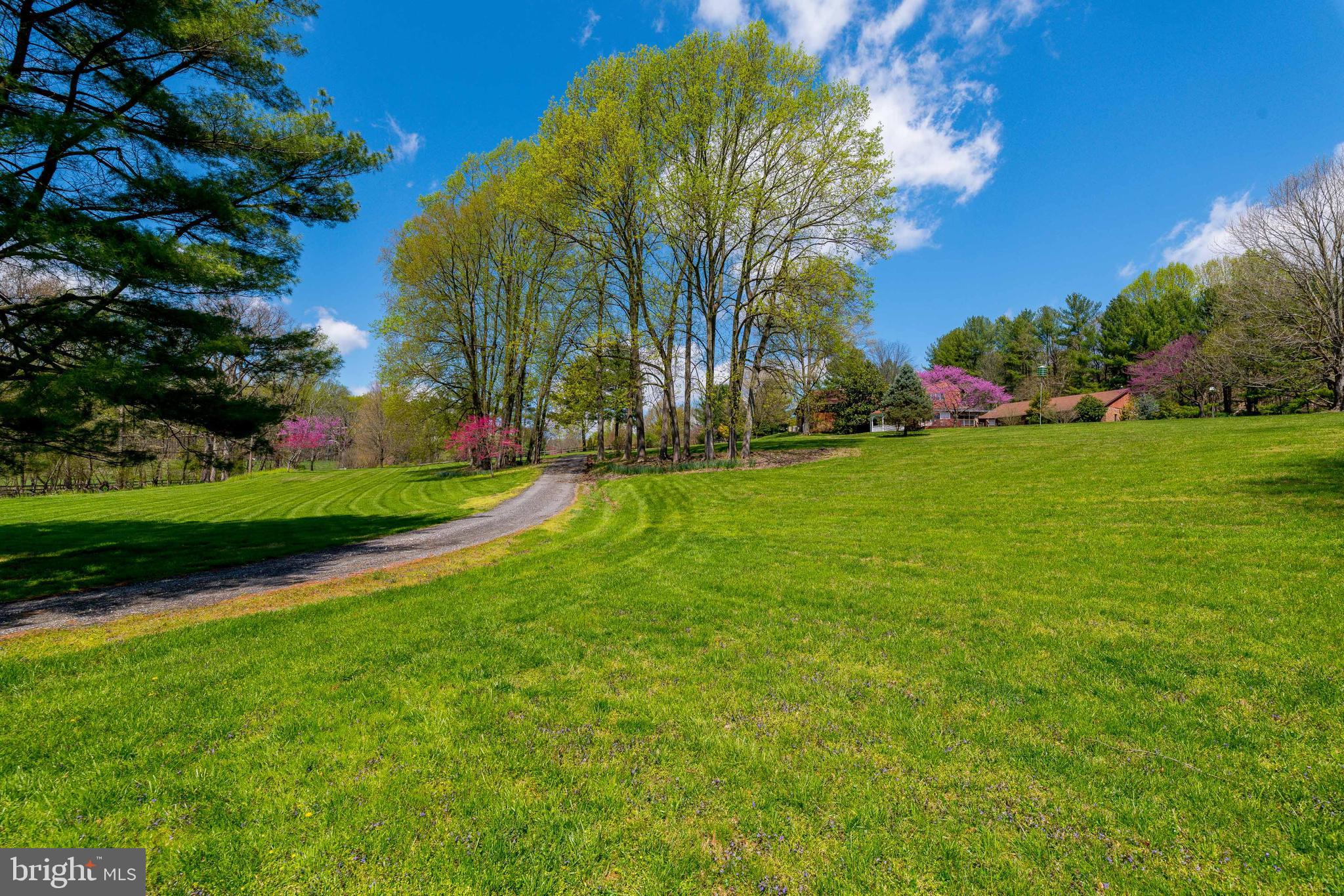 13733 Cuba Road Cockeysville, MD 21030 - Photo 77 of 82 The trees are just spectacular