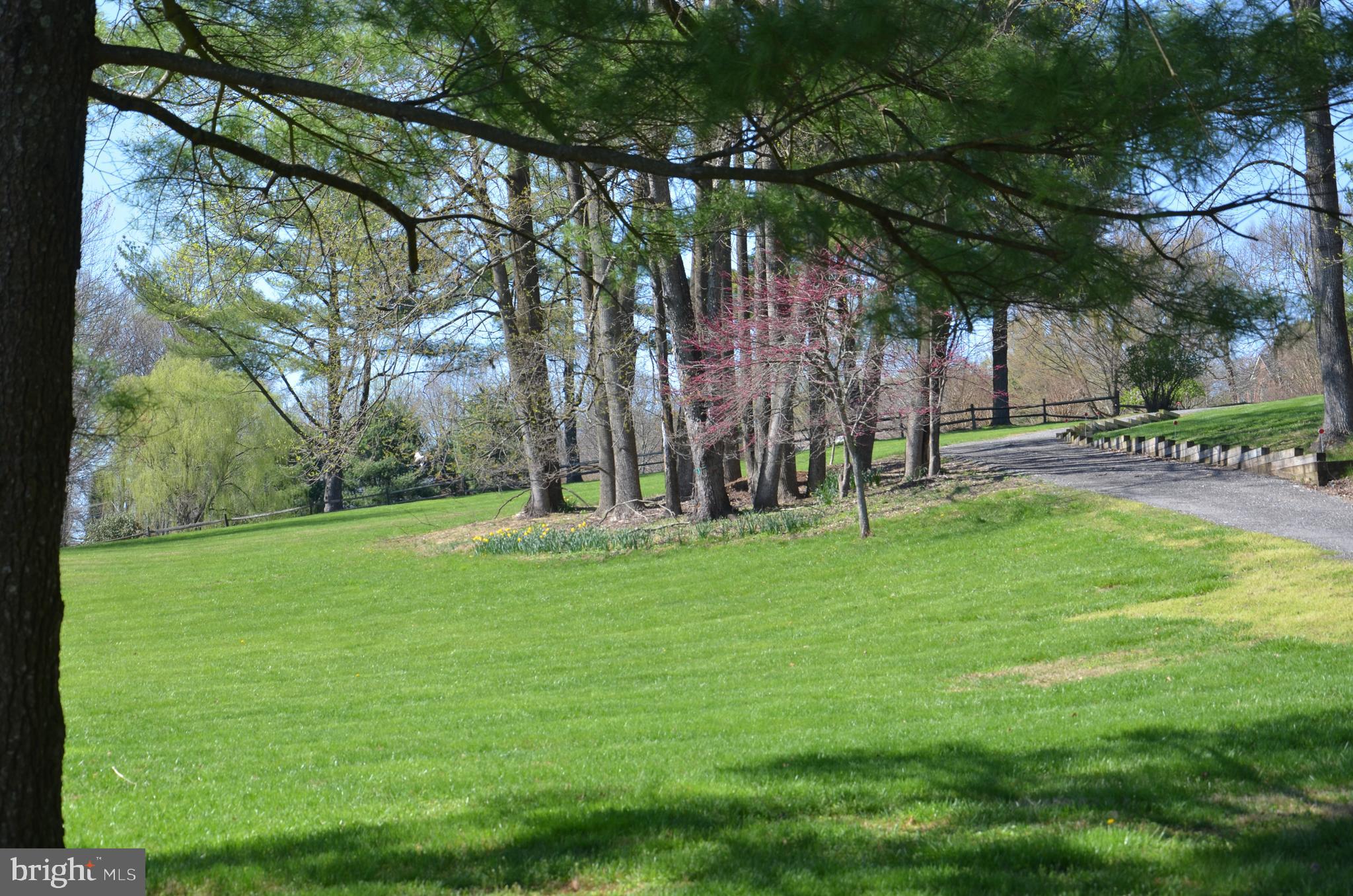 13733 Cuba Road Cockeysville, MD 21030 - Photo 80 of 82 Long circular driveway is so inviting
