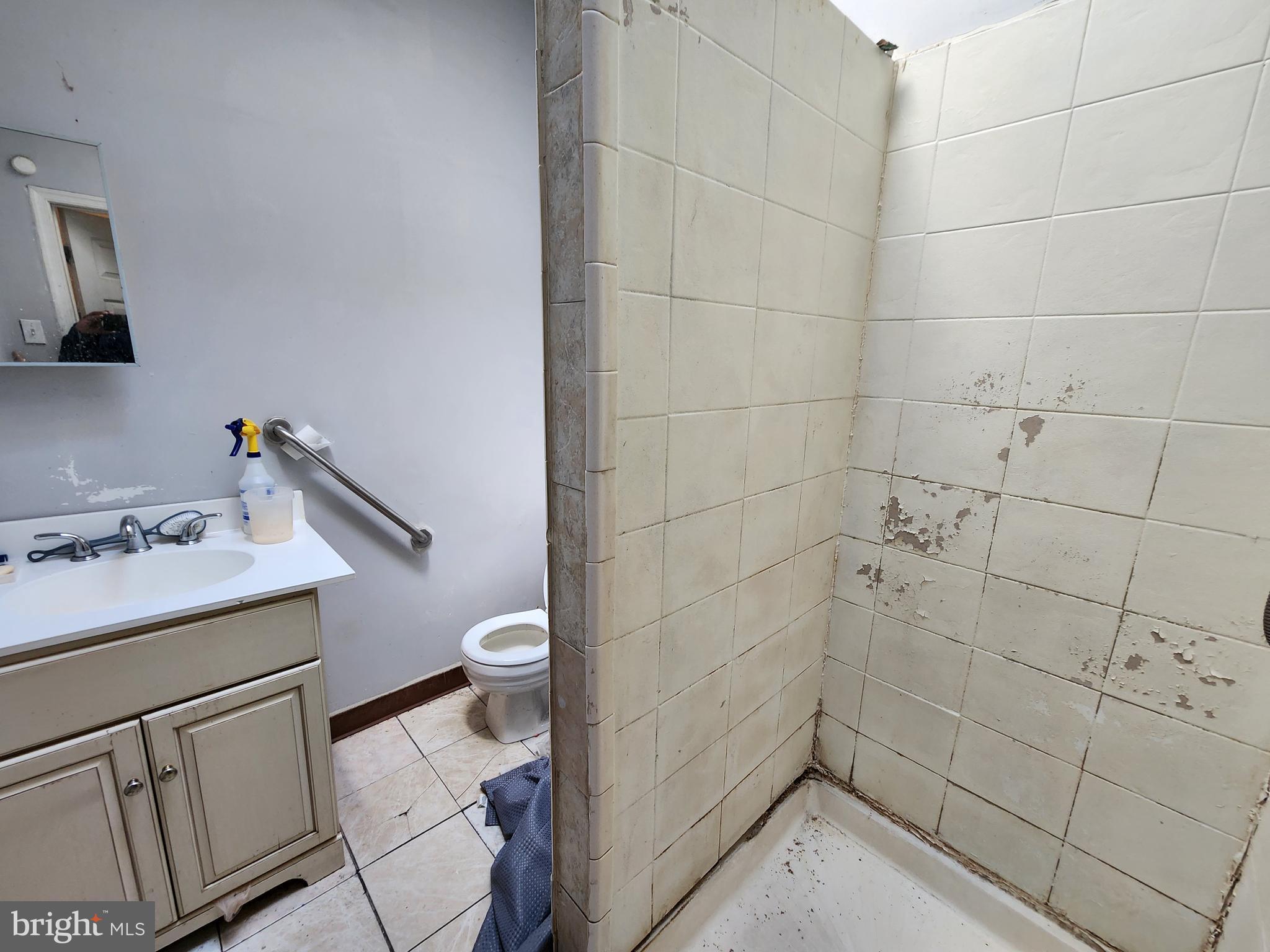 2217 Bryant Avenue Baltimore, MD 21217 - Photo 28 of 31 a bathroom with a sink a toilet and shower