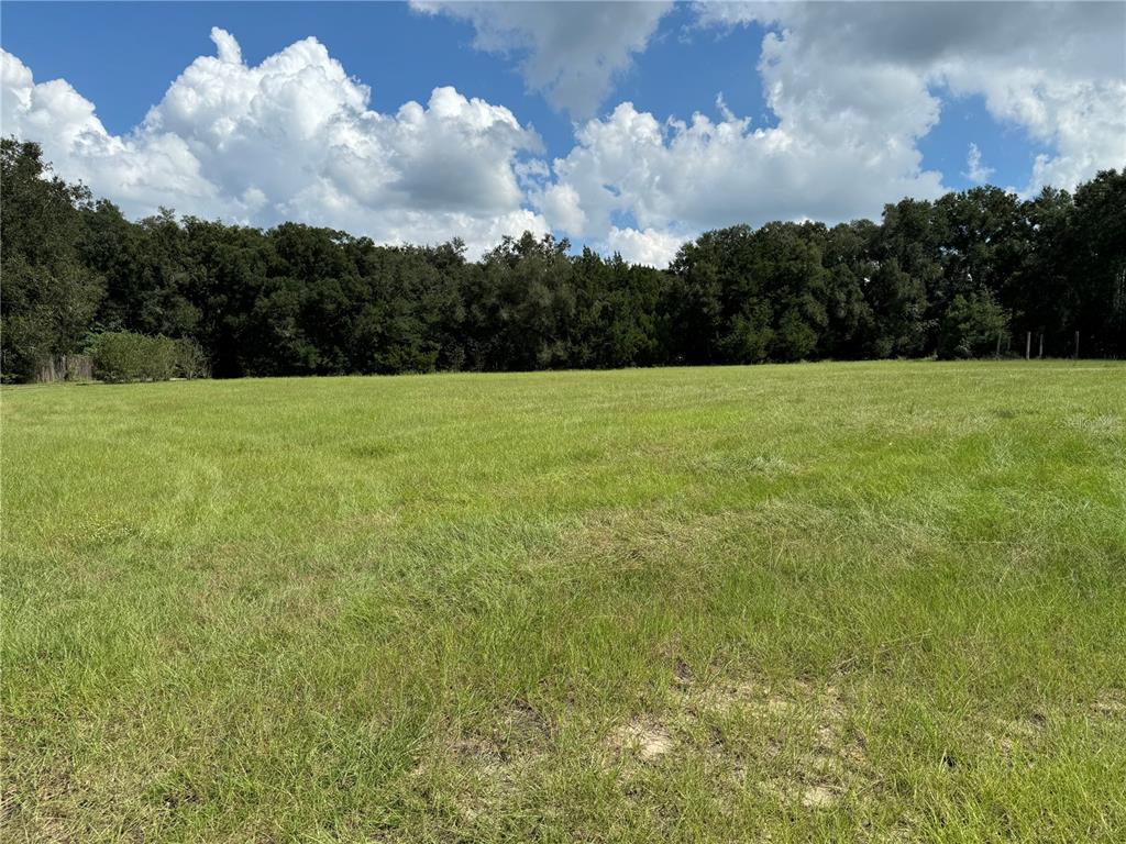 0 Vfw Road Dade City, FL 33525 - Photo 1 of 1 Gallery Image 1