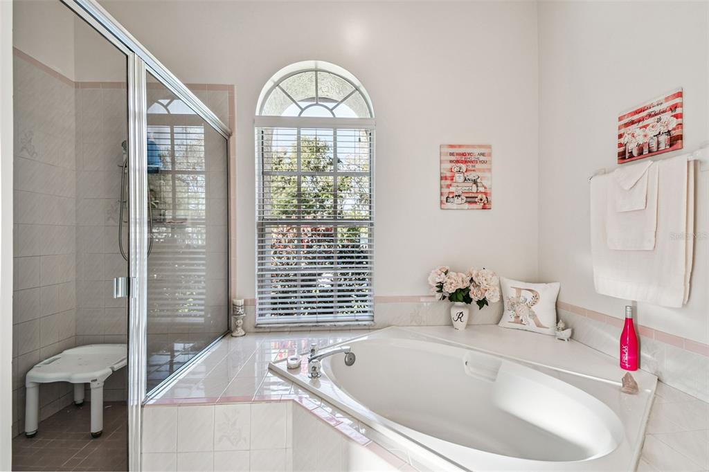 1955 Dunloe Circle Dunedin, FL 34698 - Photo 44 of 94