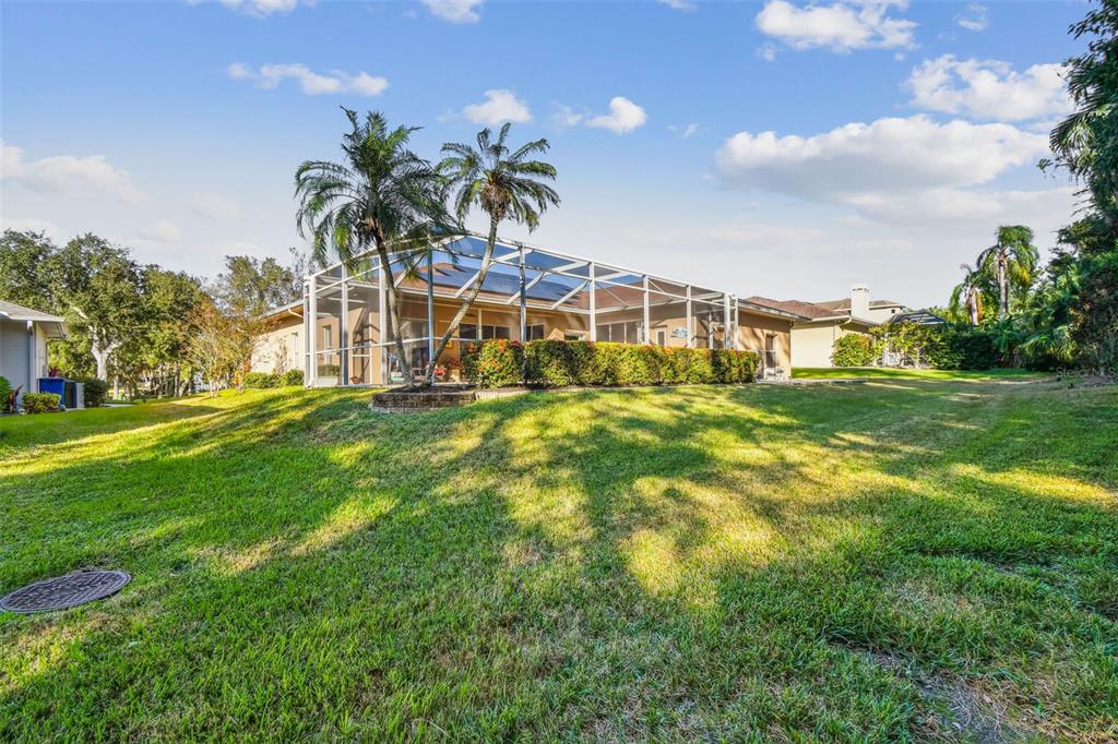 1955 Dunloe Circle Dunedin, FL 34698 - Photo 77 of 94 a view of a house with a big yard and palm trees