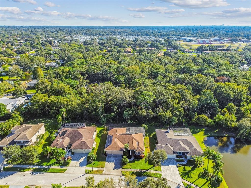 1955 Dunloe Circle Dunedin, FL 34698 - Photo 89 of 94 an aerial view of residential houses with outdoor space and trees