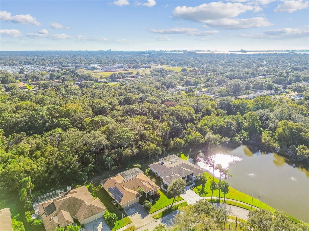 1955 Dunloe Circle Dunedin, FL 34698 - Photo 91 of 94