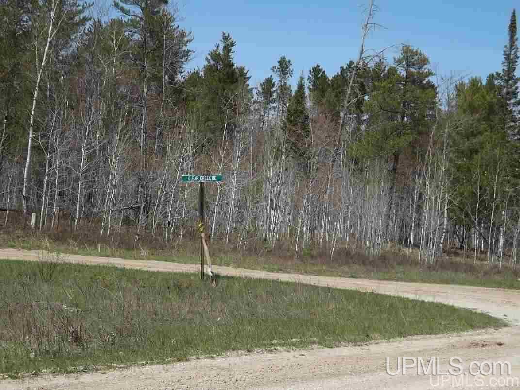 Tbd Baraga Plains Road Baraga, MI 49908 - Photo 3 of 18 Gallery Image 3