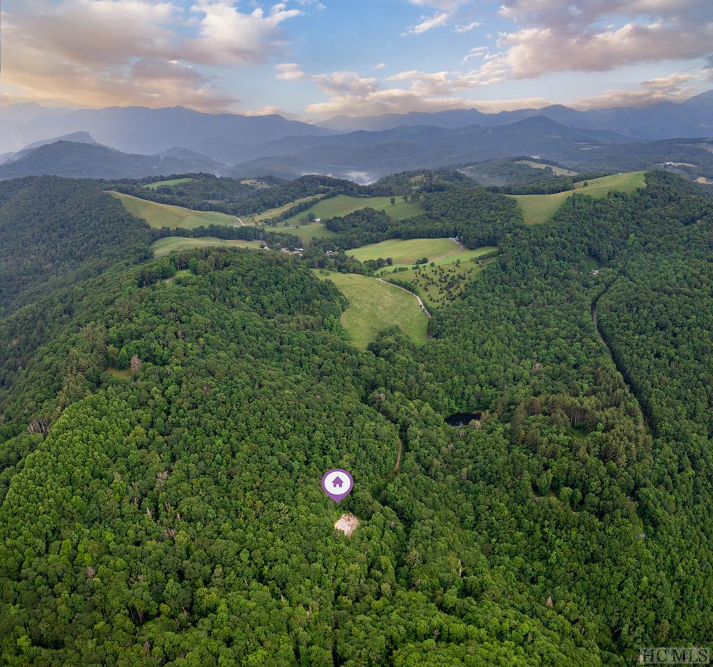 Tbd Fowler Road Glenville, NC 28736 - Photo 7 of 14 Gallery Image 7