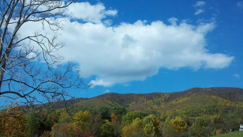 5261 Bethlehem Road Boones Mill, VA 24065 - Photo 47 of 47 image_50736641 (4)