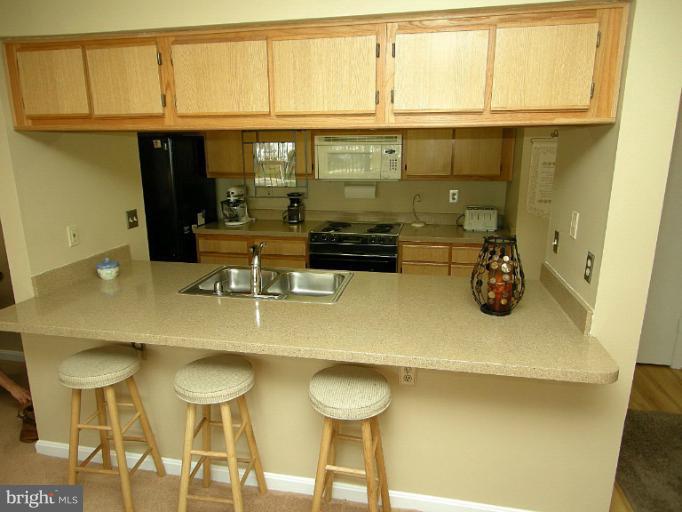 2702 Snowbird Terrace, Unit 114 Silver Spring, MD 20906 - Photo 2 of 16 Interior (General)