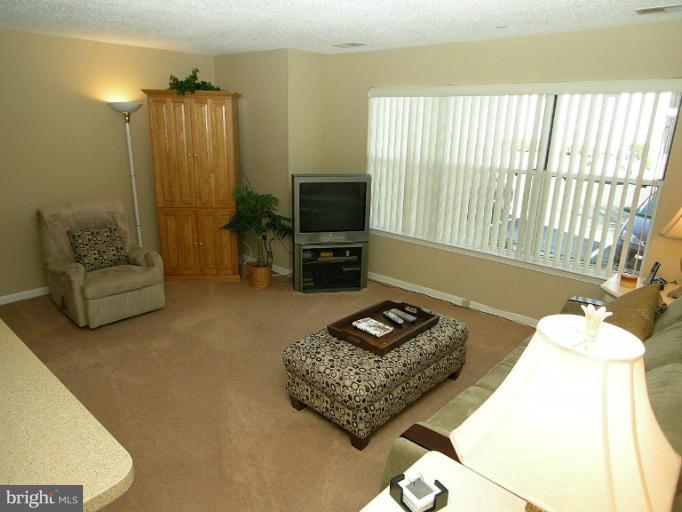 2702 Snowbird Terrace, Unit 114 Silver Spring, MD 20906 - Photo 12 of 16 Living Room