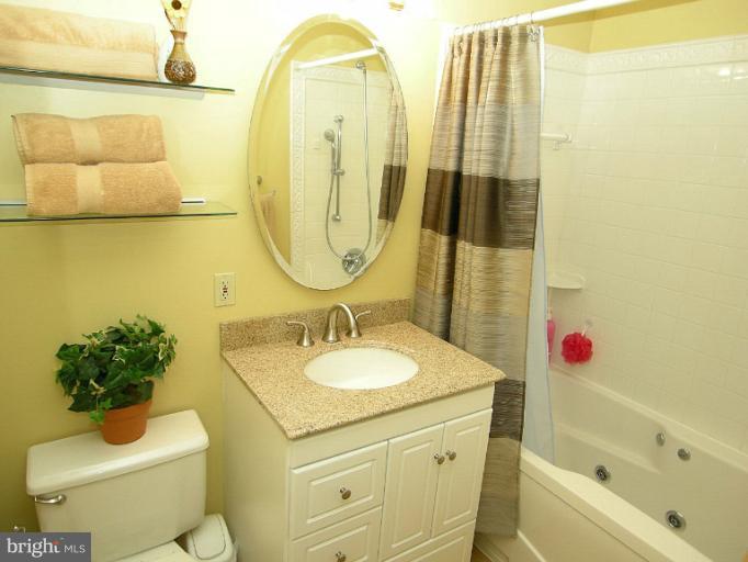 2702 Snowbird Terrace, Unit 114 Silver Spring, MD 20906 - Photo 13 of 16 Bath (Master)