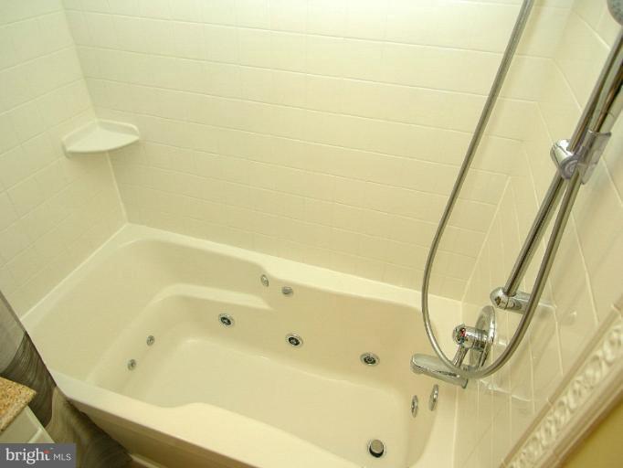 2702 Snowbird Terrace, Unit 114 Silver Spring, MD 20906 - Photo 3 of 16 Bath (Master)