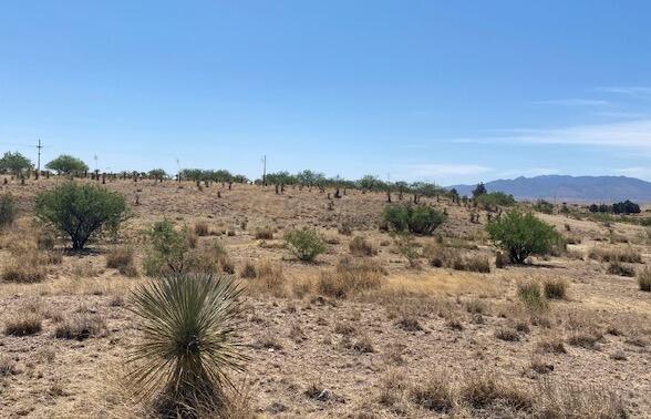 Tbd Upper Elgin Road, Unit 1 Elgin, AZ 85611 - Photo 7 of 16