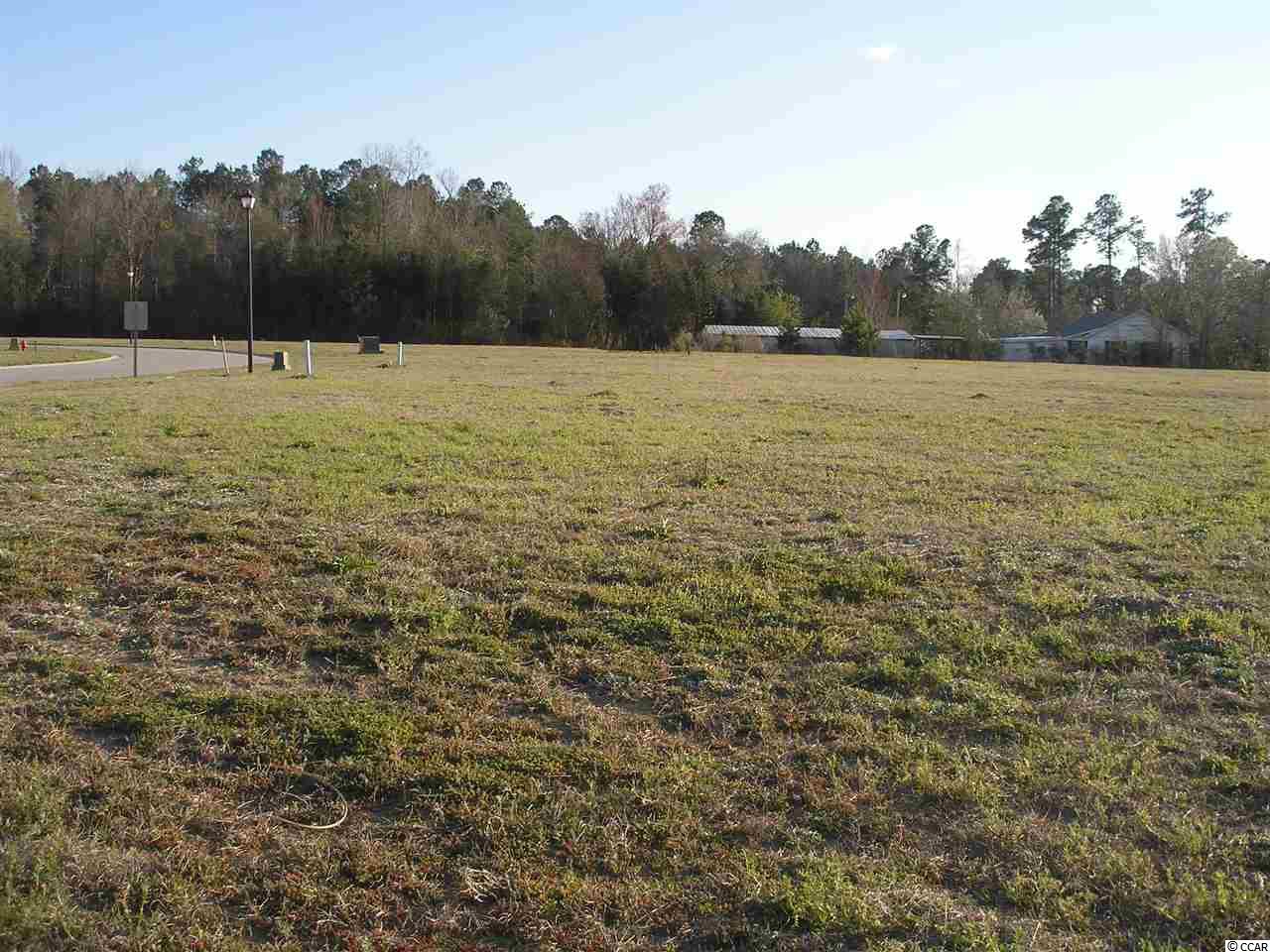 Cox Road Loris, SC 29569 - Photo 22 of 25 Gallery Image 22