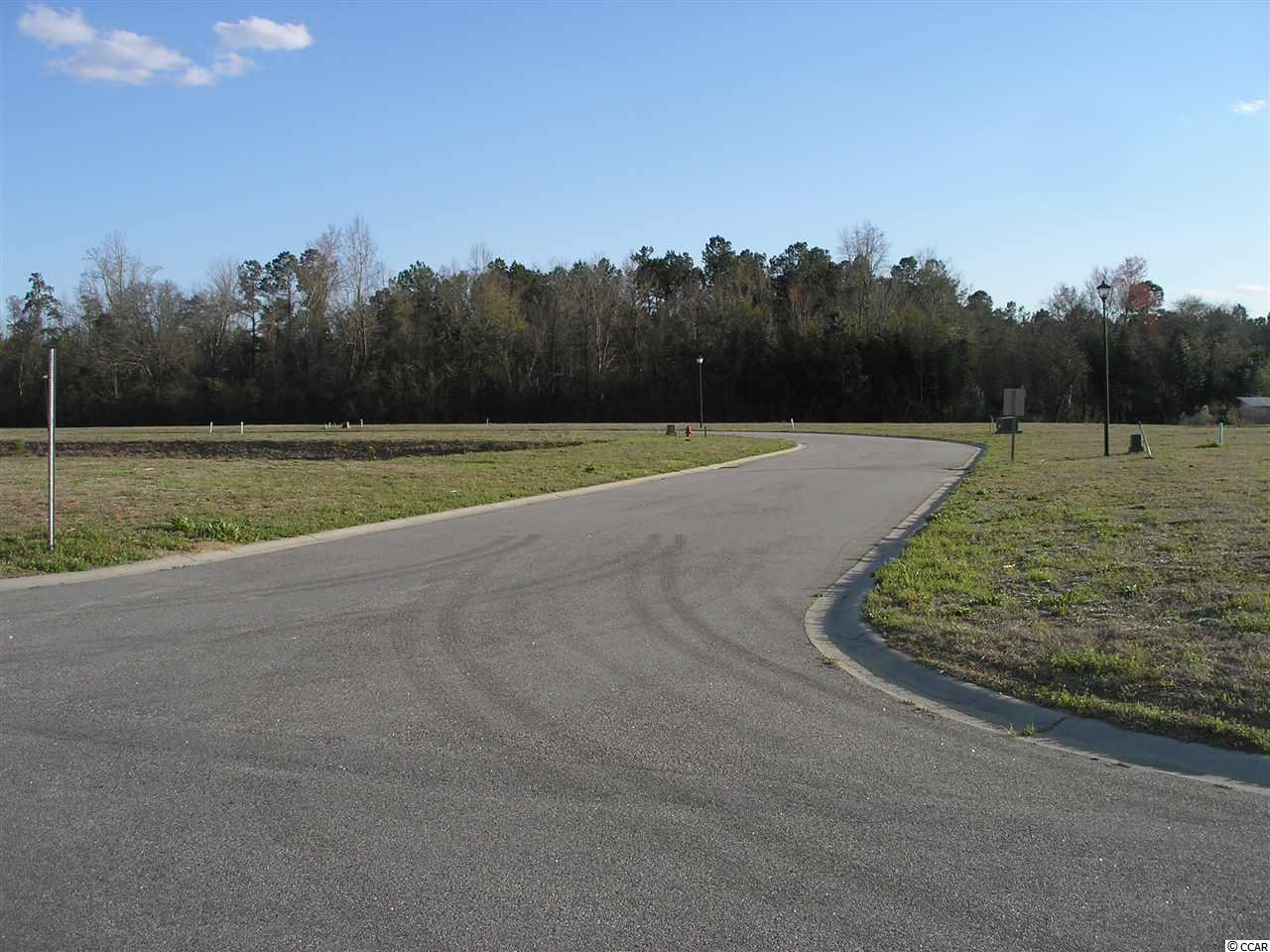 Cox Road Loris, SC 29569 - Photo 23 of 25 Gallery Image 23