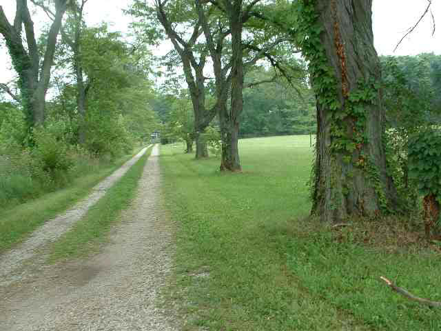 2700 South Whitney Road Selma, IN 47383 - Photo 9 of 9