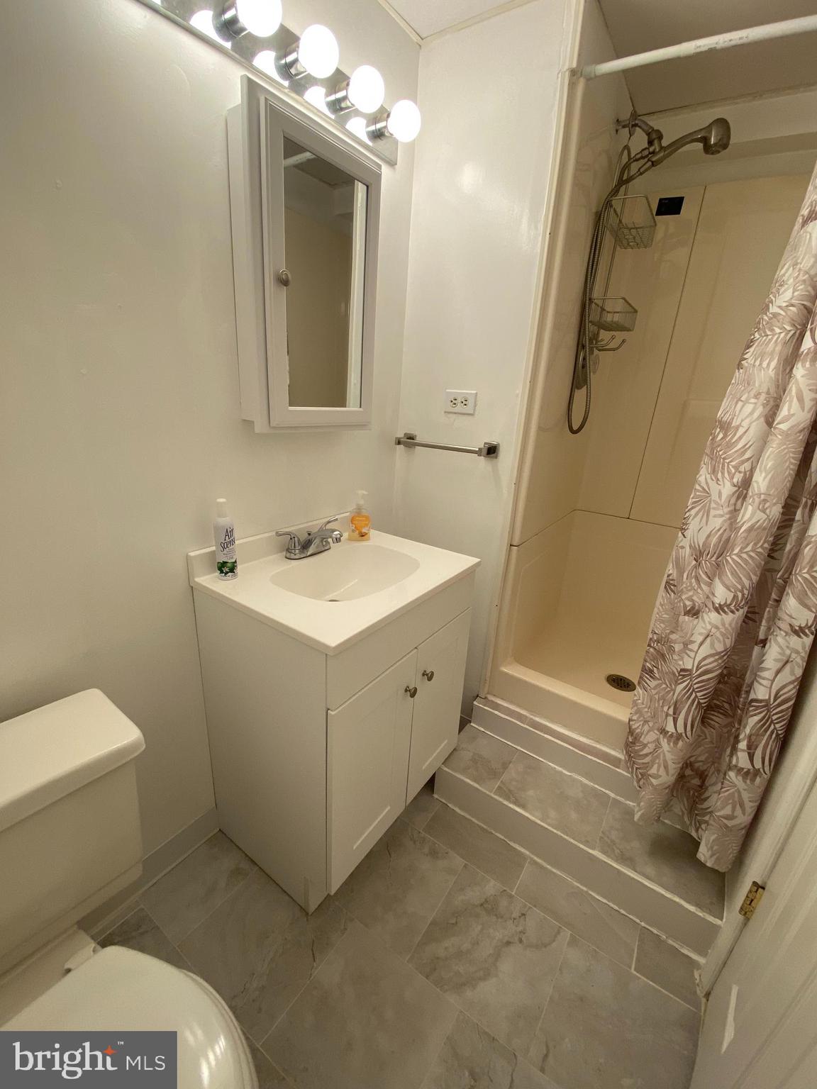 1851 Florence Road, Unit A Mount Airy, MD 21771 - Photo 19 of 19 a bathroom with a sink a toilet and shower