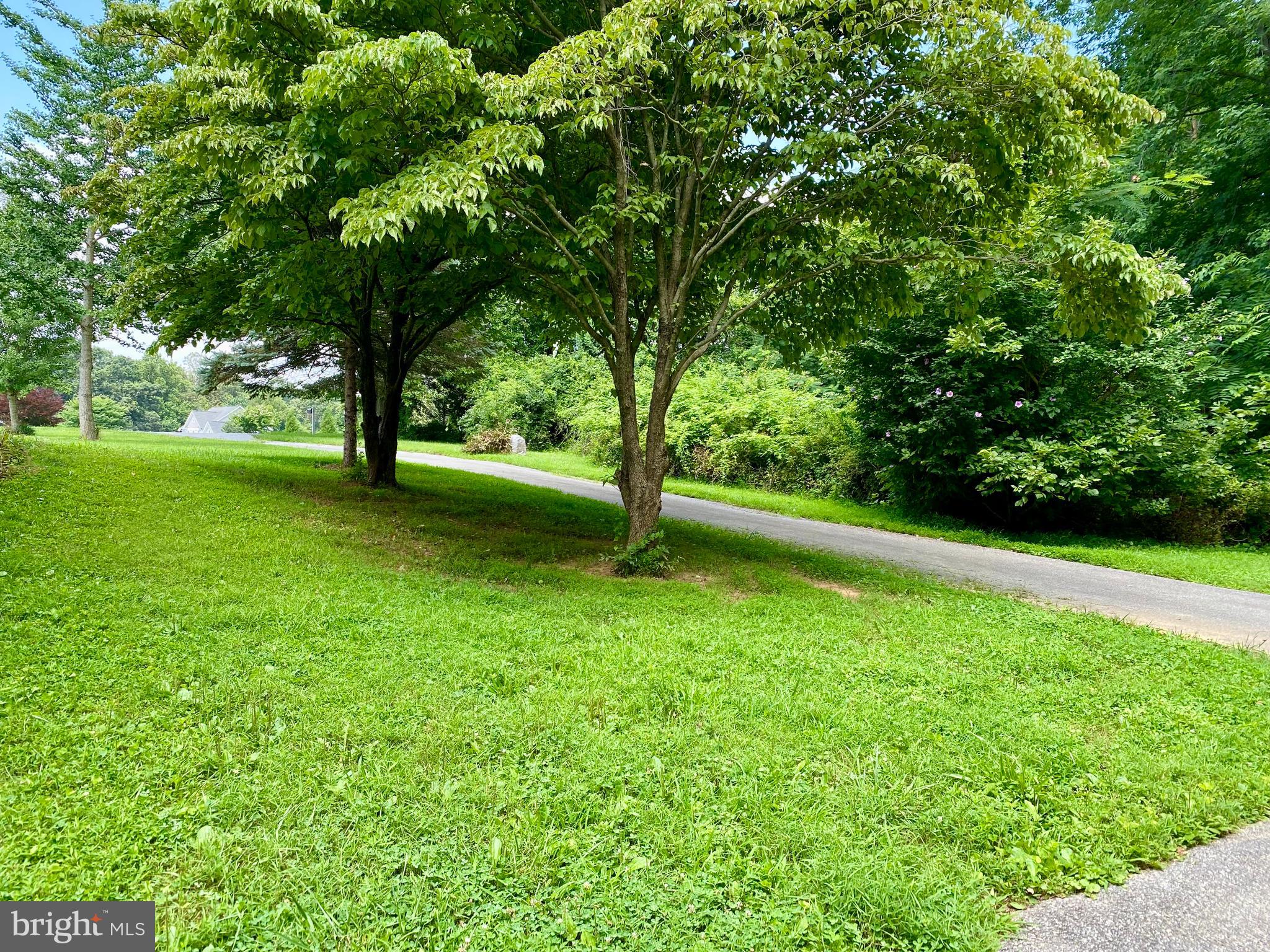 1851 Florence Road, Unit A Mount Airy, MD 21771 - Photo 4 of 19 a view of a yard with a tree