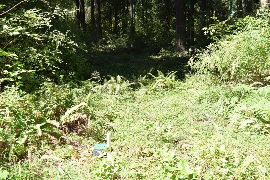 2798 Strawberry Point Road Oak Harbor, WA 98277 - Photo 11 of 22 Gallery Image 11