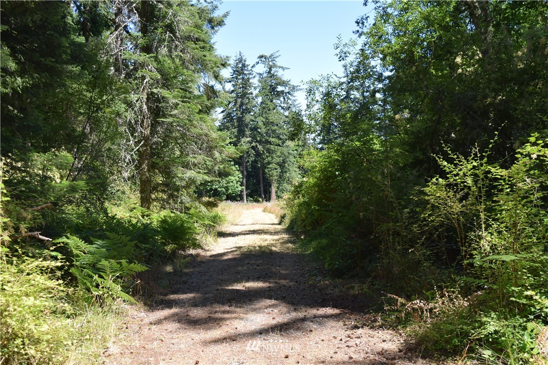 2798 Strawberry Point Road Oak Harbor, WA 98277 - Photo 12 of 22 Gallery Image 12