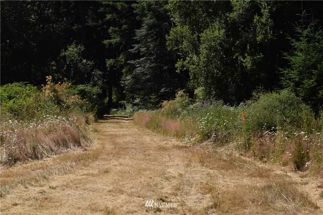 2798 Strawberry Point Road Oak Harbor, WA 98277 - Photo 13 of 22 Gallery Image 13