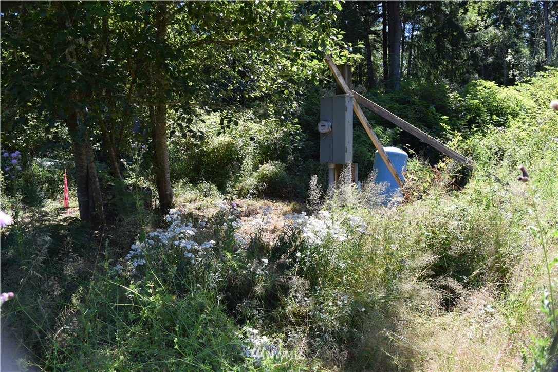 2798 Strawberry Point Road Oak Harbor, WA 98277 - Photo 17 of 22 Gallery Image 17
