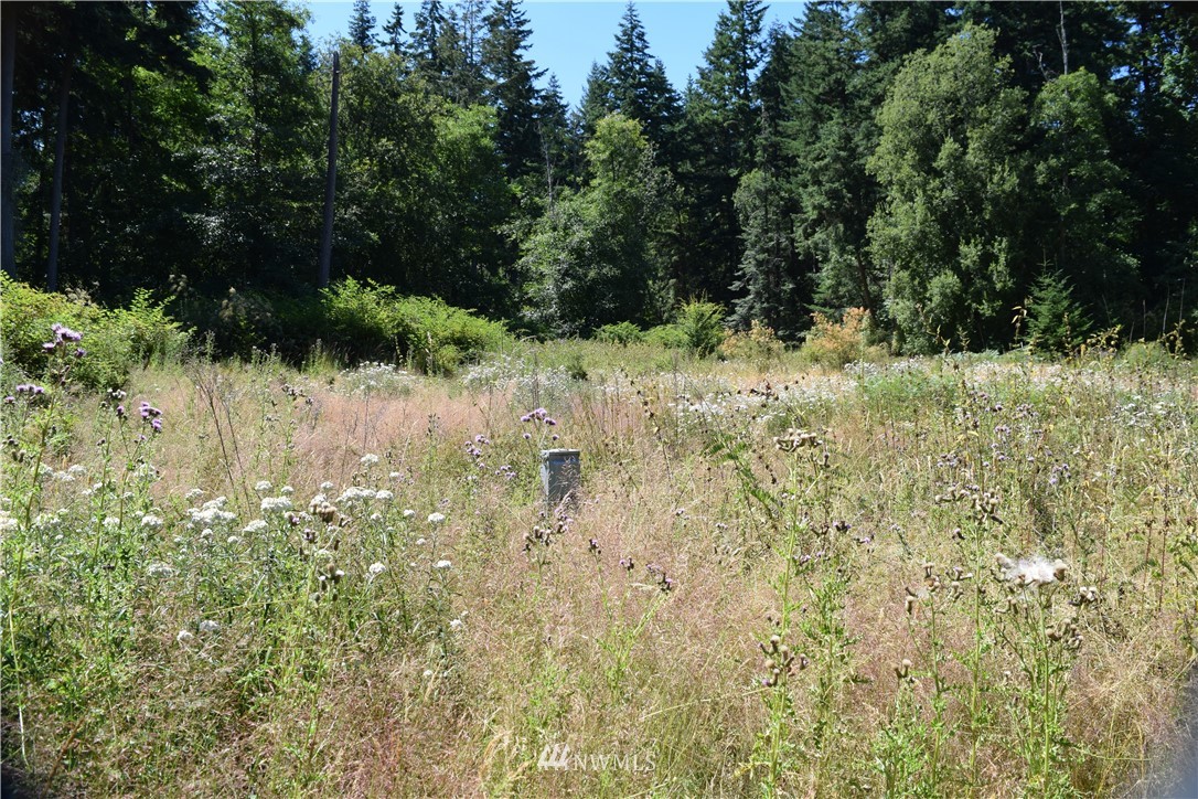 2798 Strawberry Point Road Oak Harbor, WA 98277 - Photo 18 of 22 Gallery Image 18