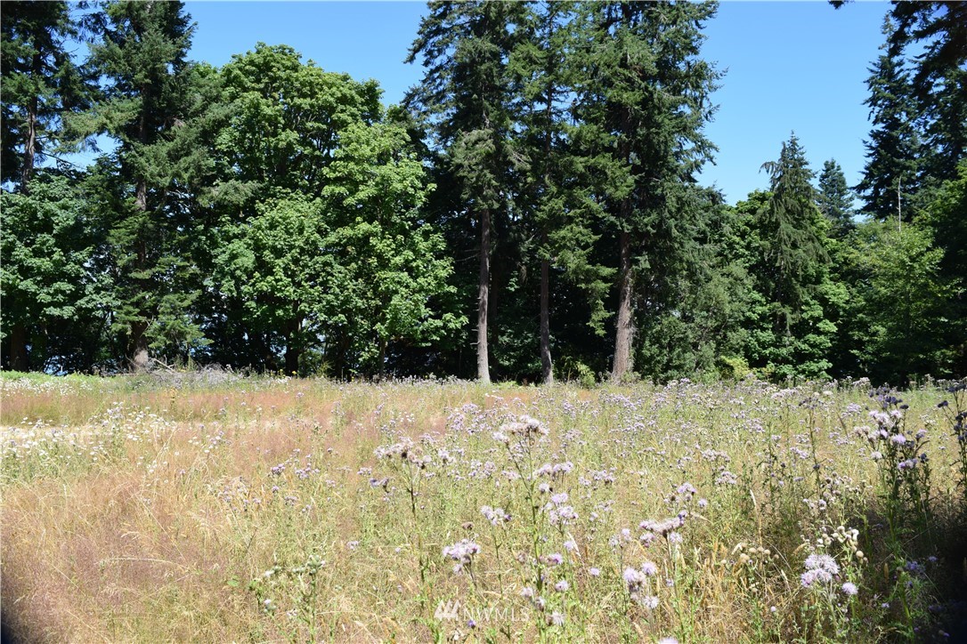 2798 Strawberry Point Road Oak Harbor, WA 98277 - Photo 19 of 22 Gallery Image 19