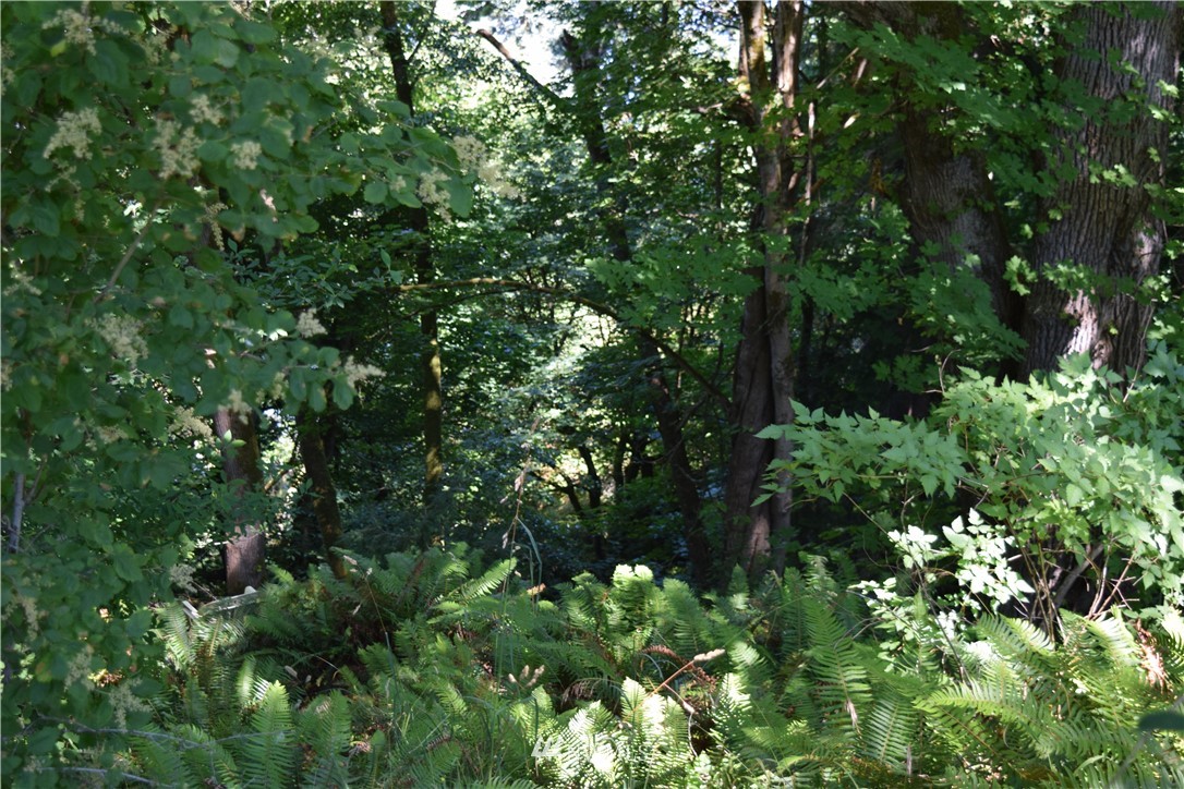 2798 Strawberry Point Road Oak Harbor, WA 98277 - Photo 21 of 22 Gallery Image 21